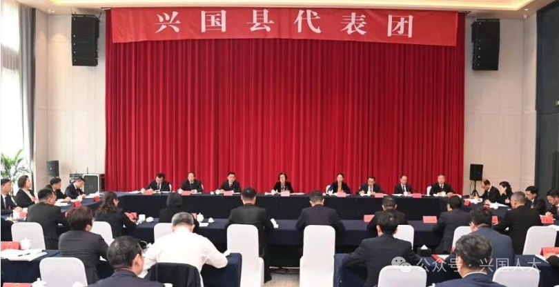 吳忠瓊參加興國縣代表團審議